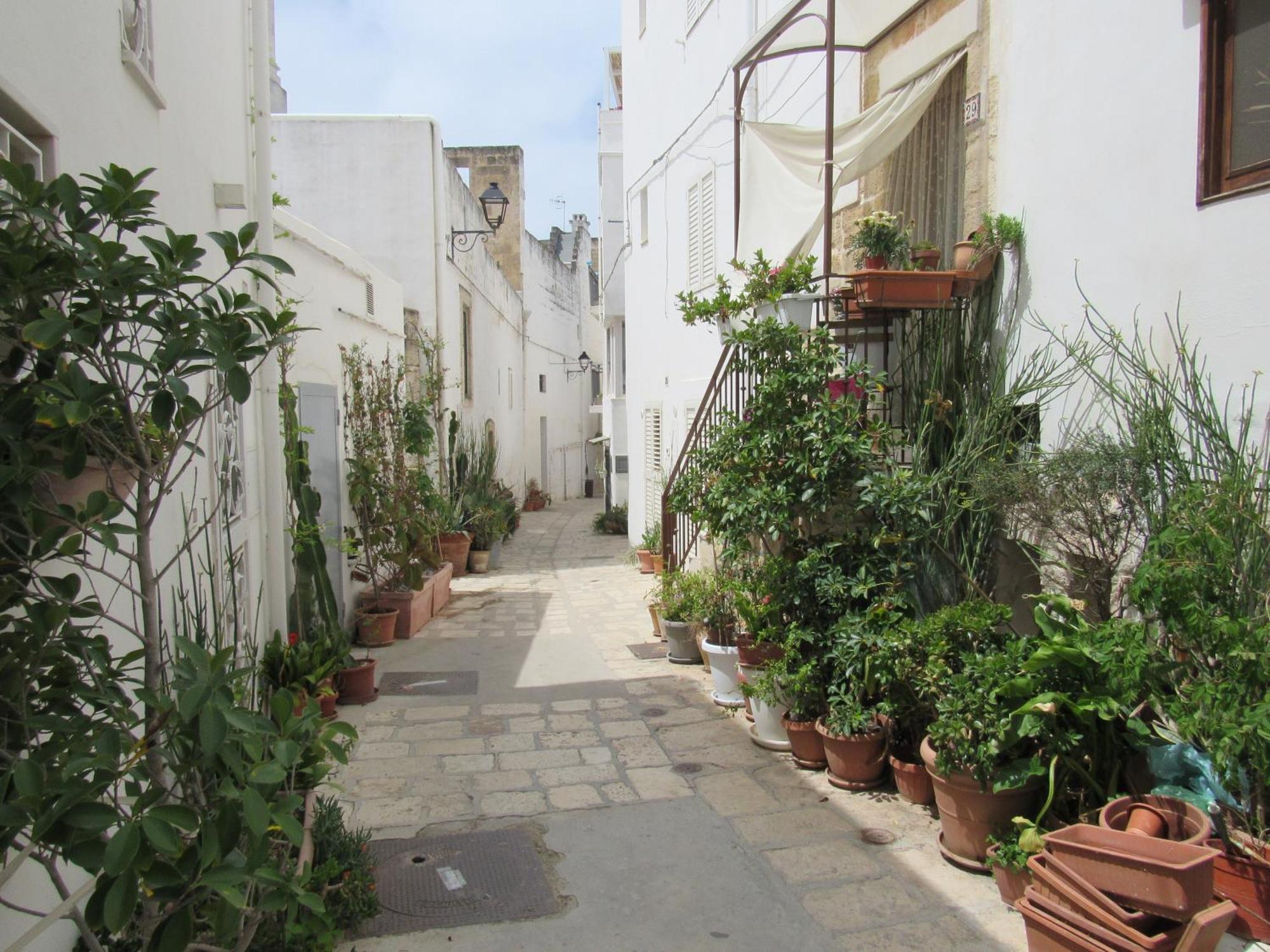 Vicolo Fiorito B&B Polignano a Mare Eksteriør bilde
